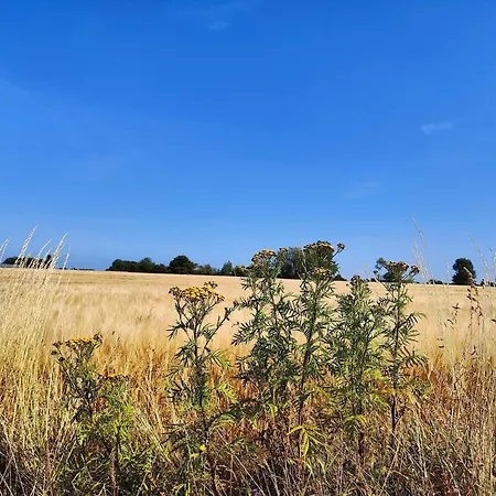 6 Person In Horslunde