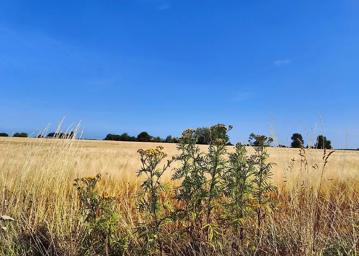 6 Person In Horslunde